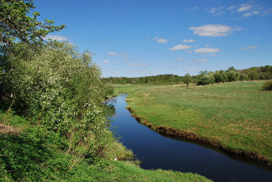 Рост воды в реке Тосна может грозить подтоплением